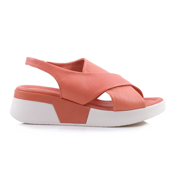 Pesso Shortcake Coral