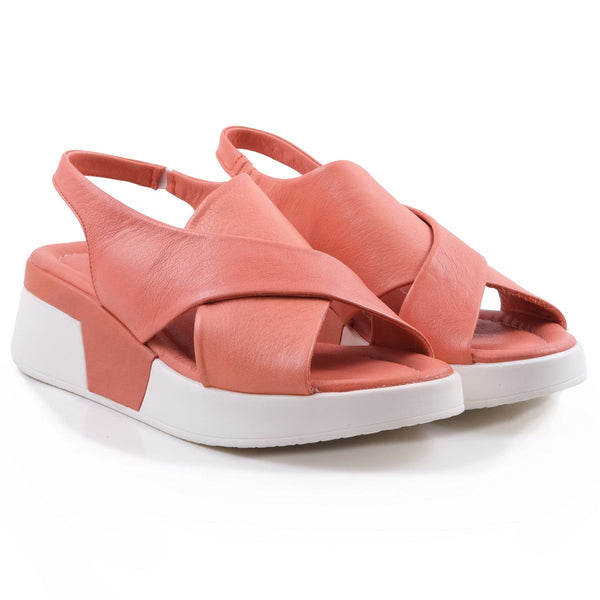 Pesso Shortcake Coral