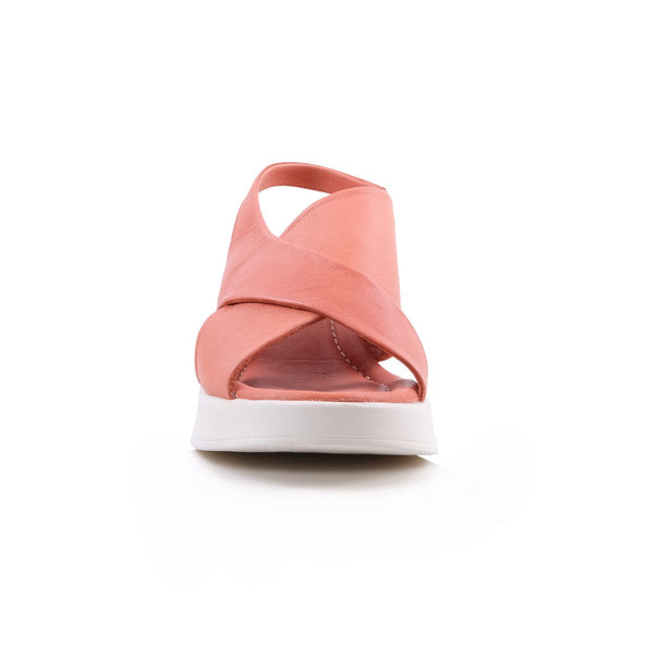 Pesso Shortcake Coral