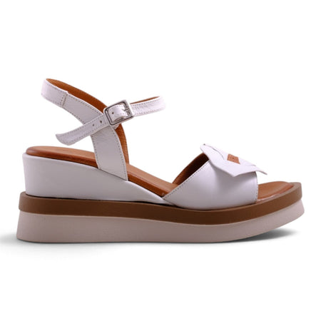 Pesso Shambee Nude