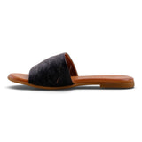 Pesso Shandee Black