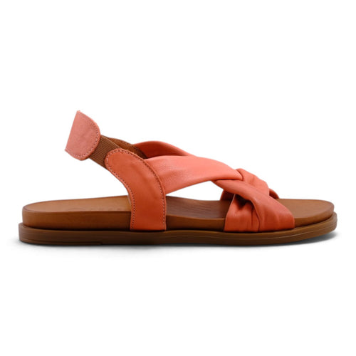 Pesso Litchi Coral