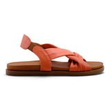 Pesso Litchi Coral