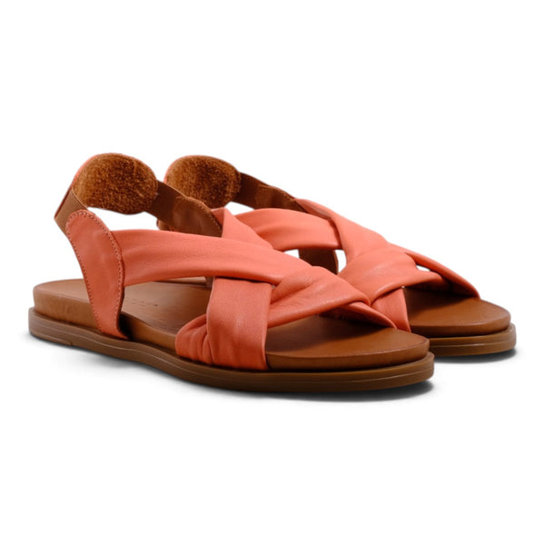 Pesso Litchi Coral