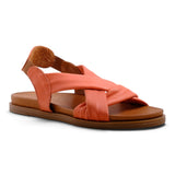 Pesso Litchi Coral