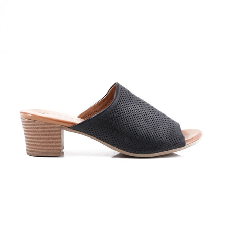 Pesso Shambock Scorpion